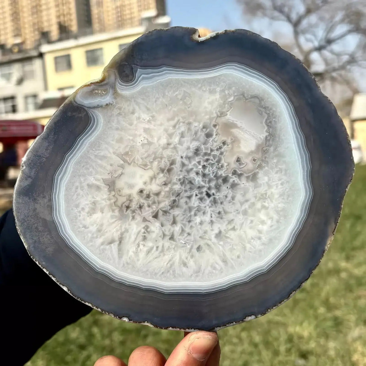 Tranche d’Agate Naturelle – Disque Cristal Dessous de Verre Énergétique