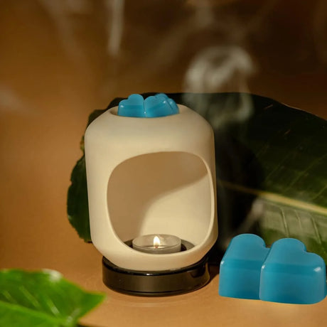 12 Cœurs Fondants en Cire de Soja | Aromathérapie 