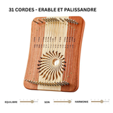 31_cordes_-_erable_et_palissandre