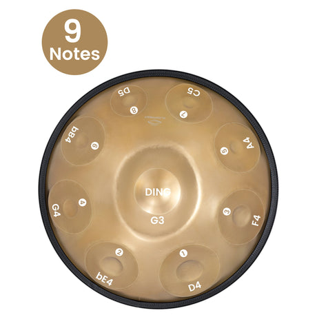 Handpan présentation phonétique