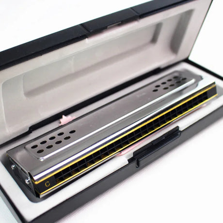 Harmonica Double Face C et G 24 Trous Tremolo – Harmonica Professionnel 