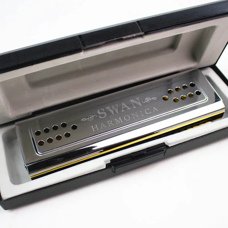 Harmonica Double Face C et G 24 Trous Tremolo – Harmonica Professionnel en Acier Inoxydable 
