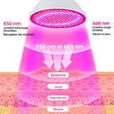 Lampe LED Rouge & Infrarouge – Luminothérapie Anti-Âge 