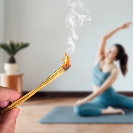 Palo Santo Naturel – Encens Purifiant Bois Sacré