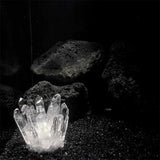 Quartz Blanc Brut Naturel – Cristal de Roche 
