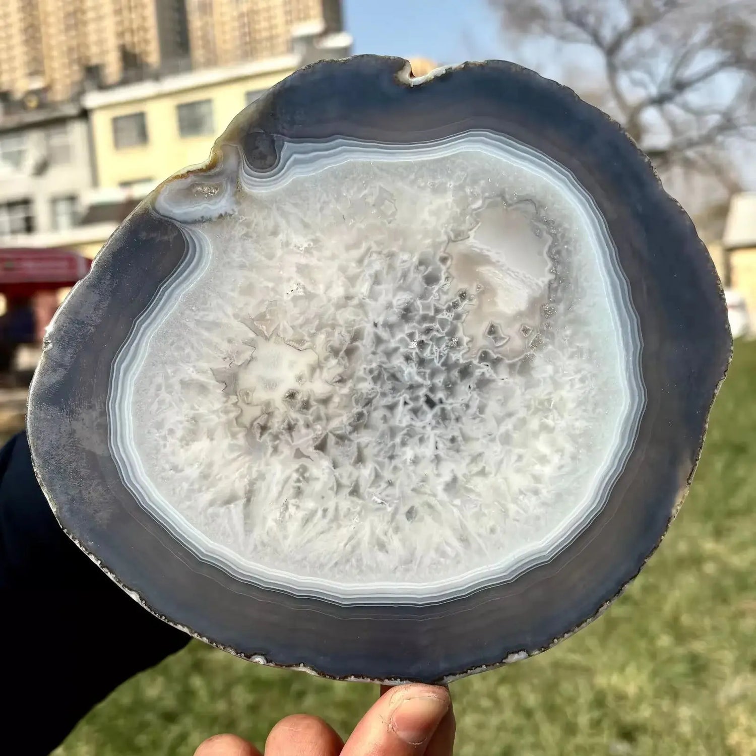 Tranche d’Agate Naturelle – Disque Cristal Dessous de Verre Énergétique