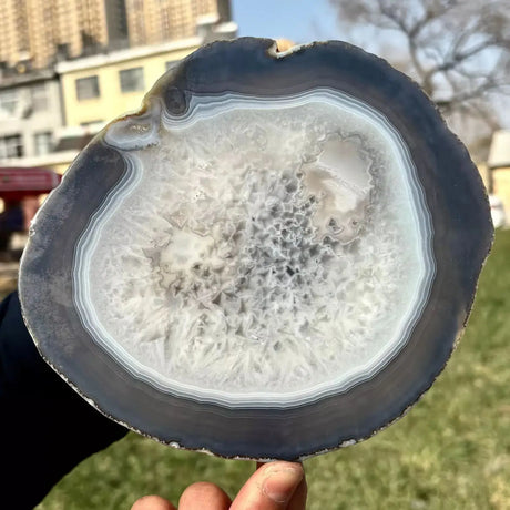 Tranche d’Agate Naturelle – Disque Cristal Dessous de Verre Énergétique